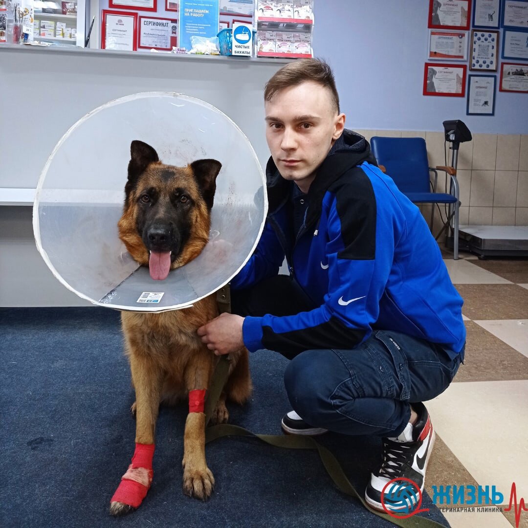 Ассистент ветеринарного врача в ветеринарной клинике в Калуге Жизнь. 