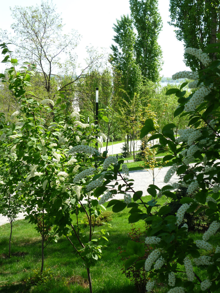 Весна - пора обновления, пора поиска нового жизненного пути