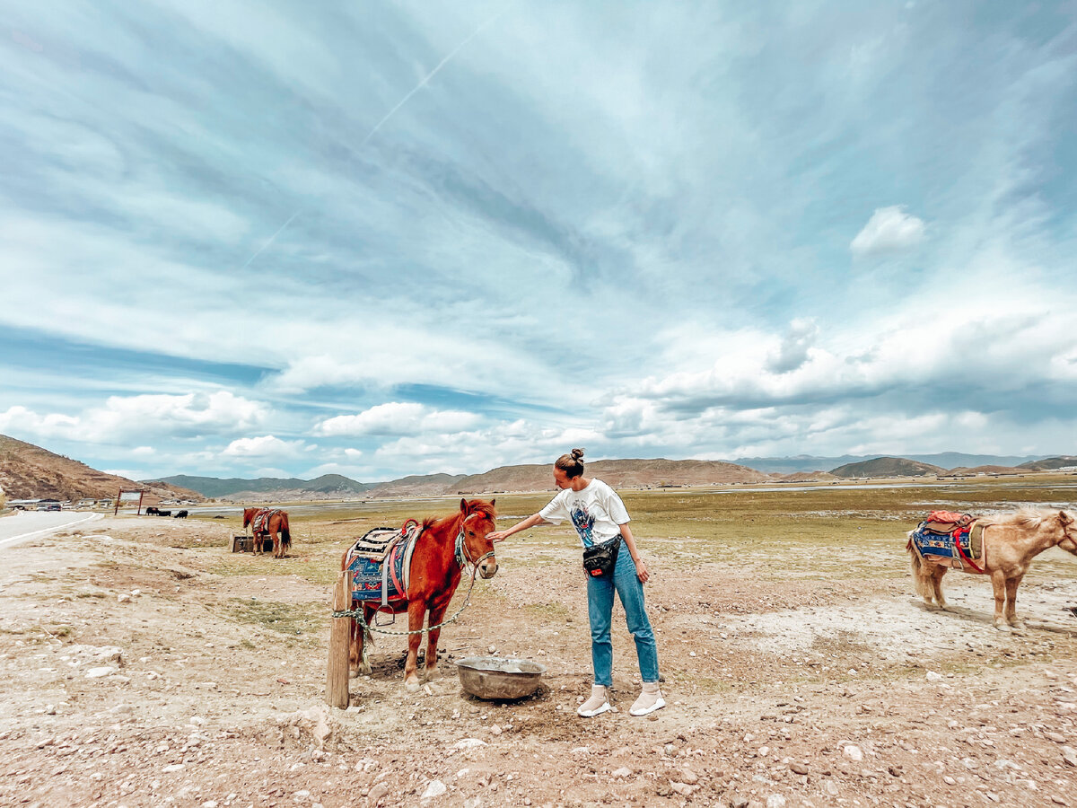 Настоящая пони. Не вымышленная. Обратите внимание на колоритные седла