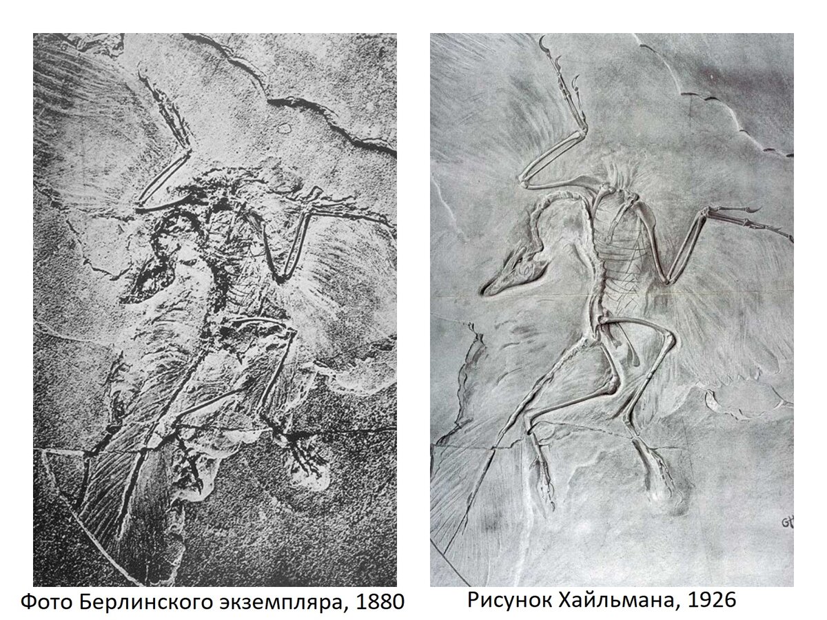 На рисунке 172 датским художником