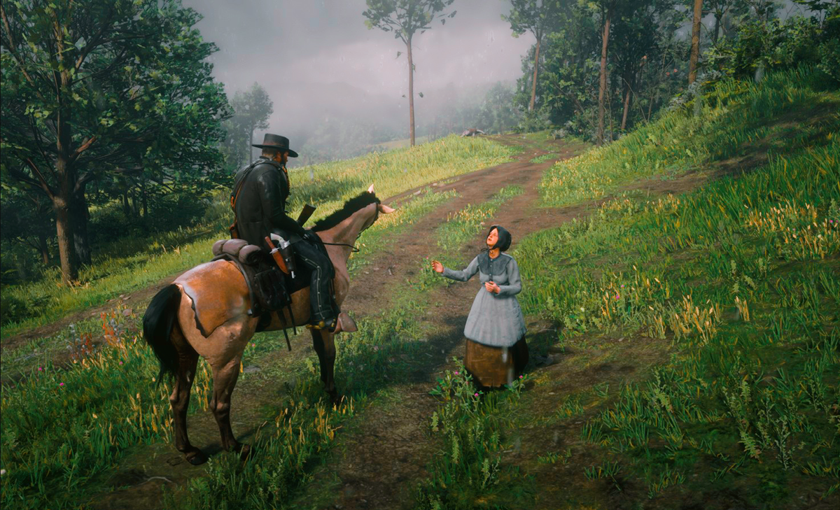 "голосует" на дороге