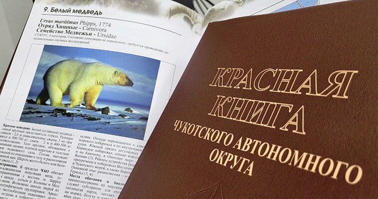 Фото: ИА "Чукотка"/Данил Черкалин 