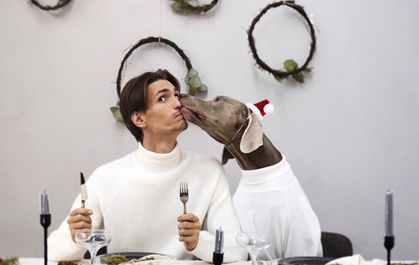 Новый год с собаками в Европе😍Мечта или реальность?