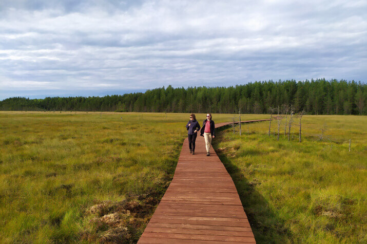    Фото: ООПТ «Сестрорецкое болото»/ rgo.ru