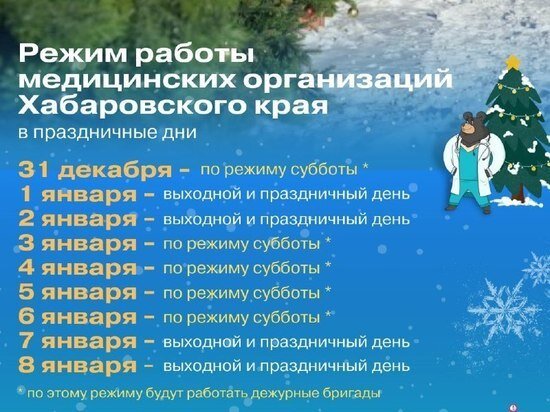     В Хабаровском крае озвучили график работы больниц на новогодних праздниках ФОТО: минздрав Хабаровского края