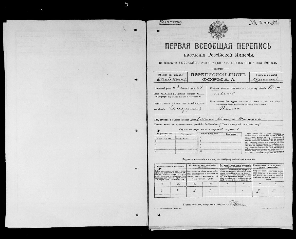 Как найти предков в переписи населения 1897 года | История одной семьи.  Юлия Новожилова | Дзен