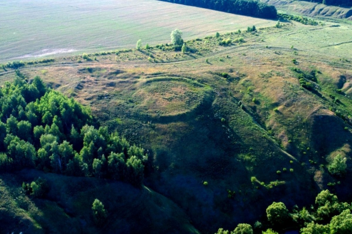    В 2022-м году музей «Куликово поле» установил рекорд по числу посетителей