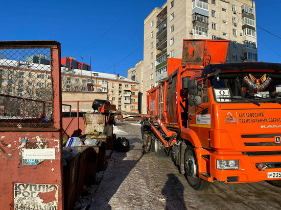     В Хабаровске планируют установить спецконтейнеры для елок. Фото: правительство Хабаровского края