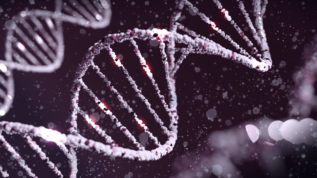 1. Photo by Sangharsh Lohakare on Unsplash