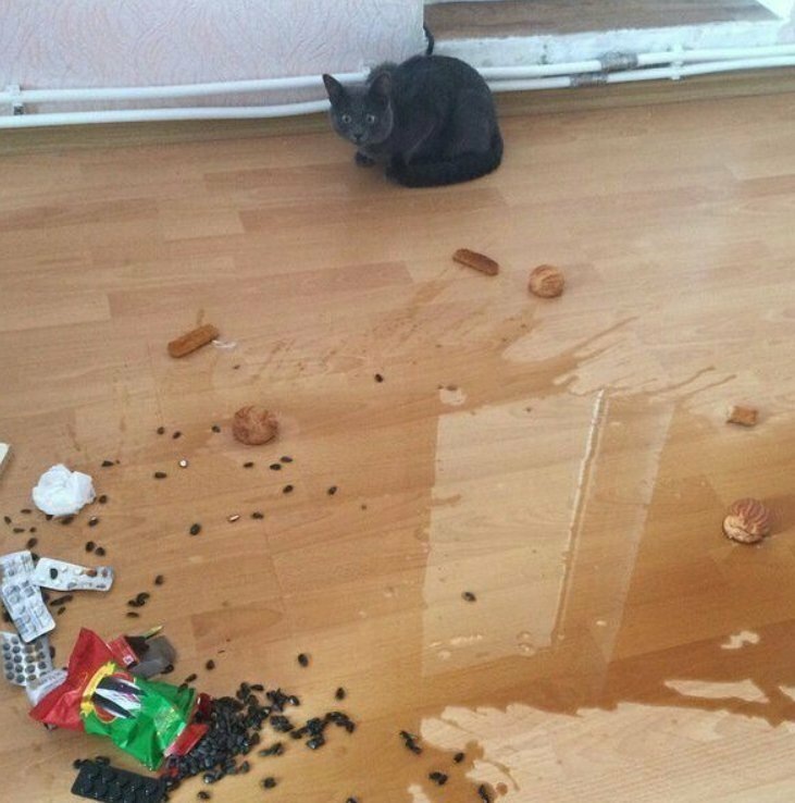 Добавьте описание