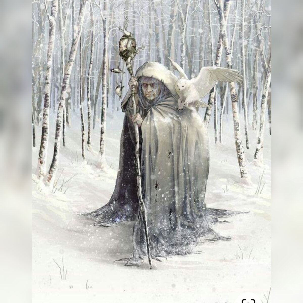 Иллюстрация из открытых источников