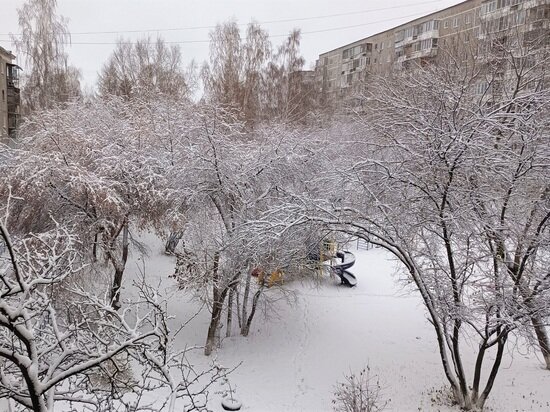     фото: Николай Курилов / МК-Урал