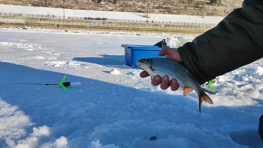 Ловля плотвы зимой. Сорожка зимой на донку.