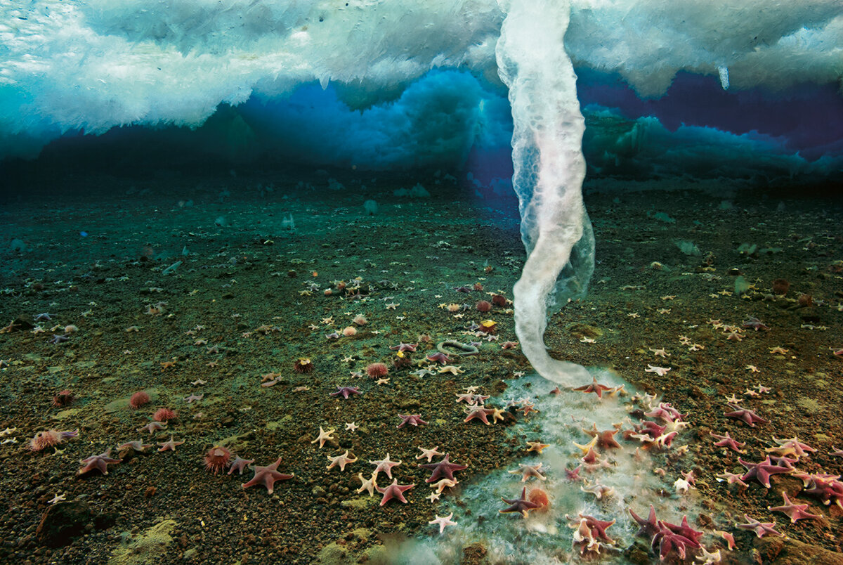 Sursa www.storyblocks.com