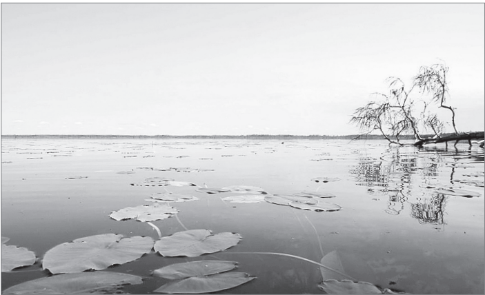 В этом прикамском озере водятся чудовища.