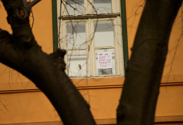    Шведские дипломаты объявили поджигателя Корана идиотом