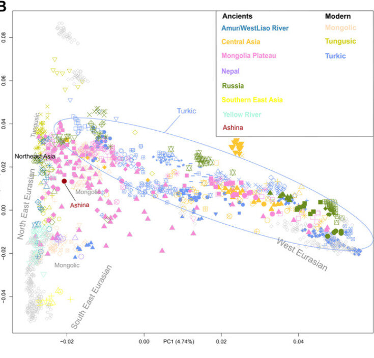   Xiao-Min Yang et al. / Journal of Systematics and Evolutions, 2023