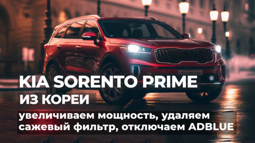 Удаление сажевого фильтра, отключение мочевины Adblue, чип-тюнинг Kia Sorento Prime и Santa Fe