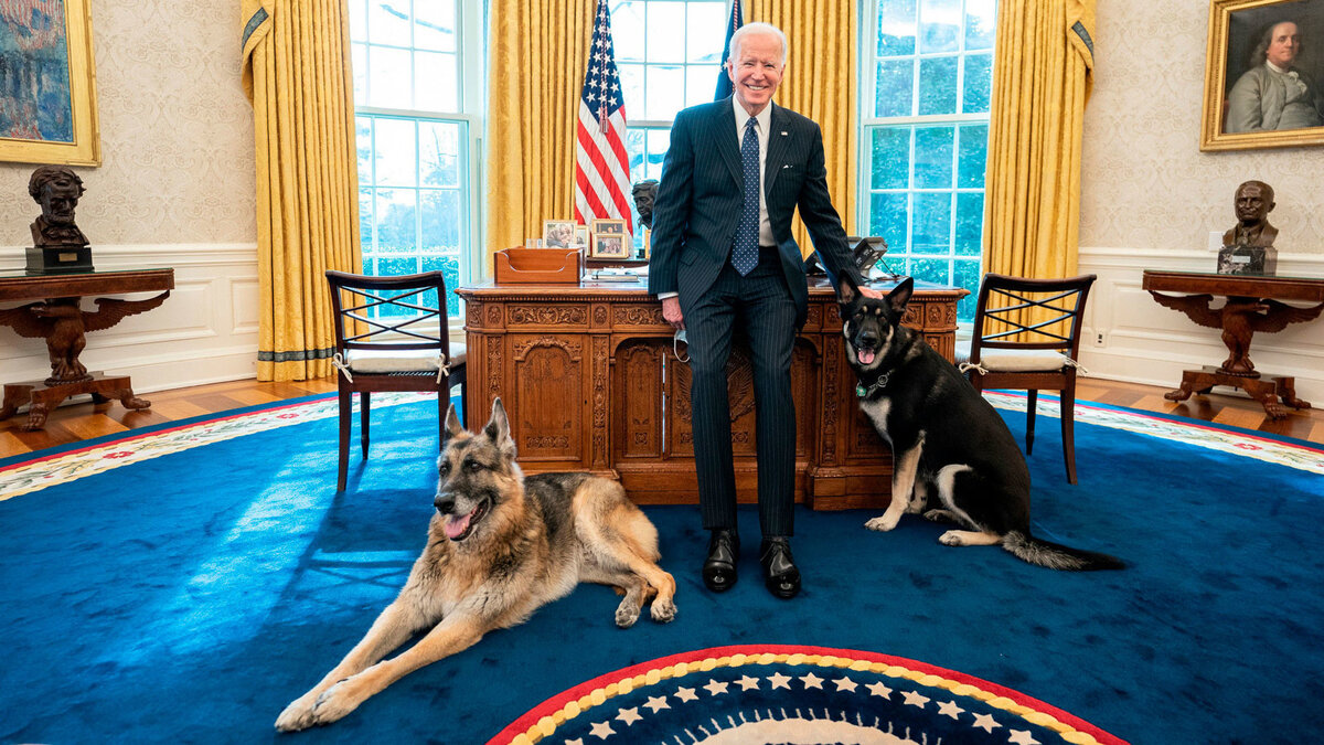 Чемпион и Мейджор