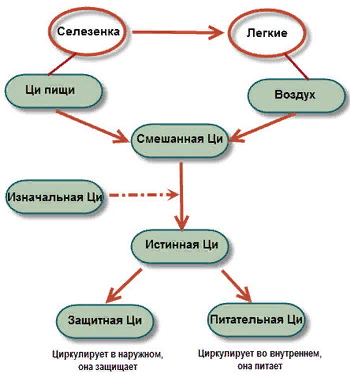 Истинная Ци