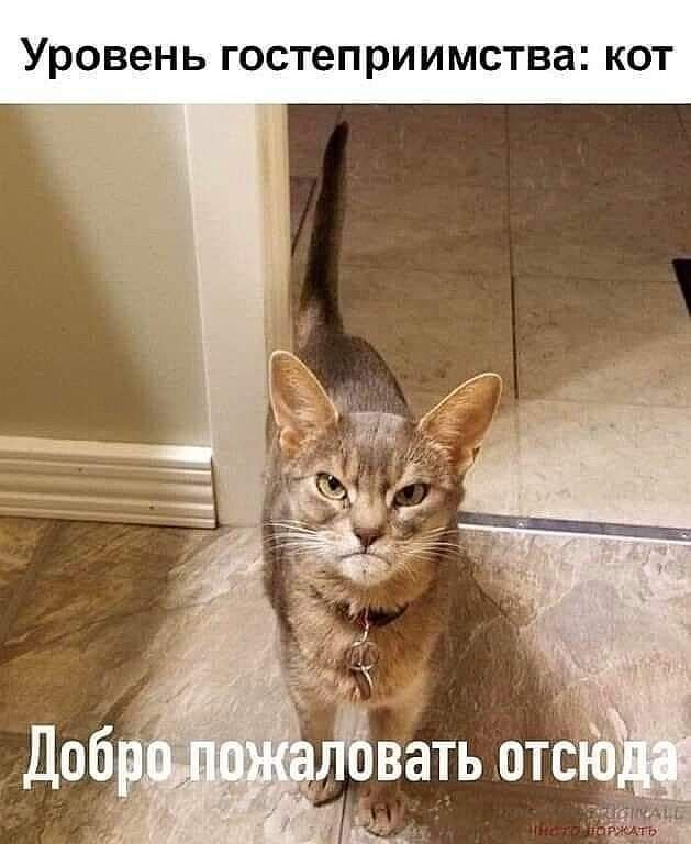Из открытых источников.