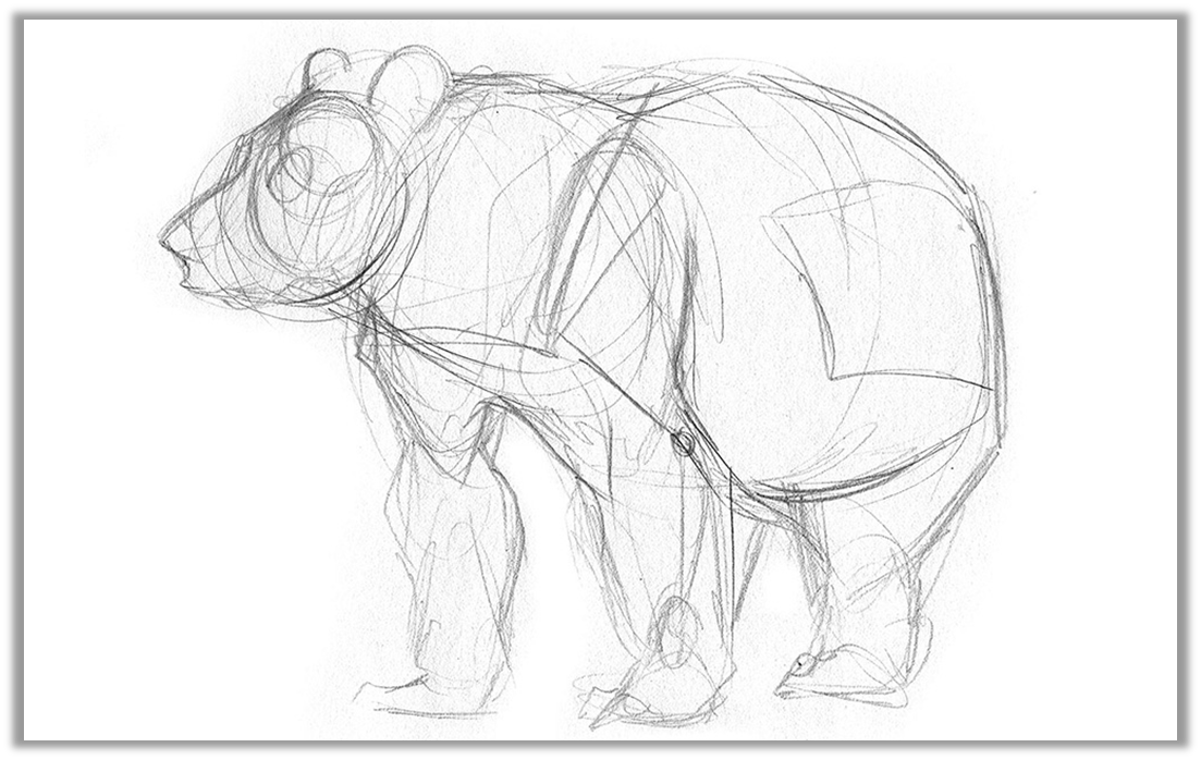 (Изображение: © Бринн Метини)