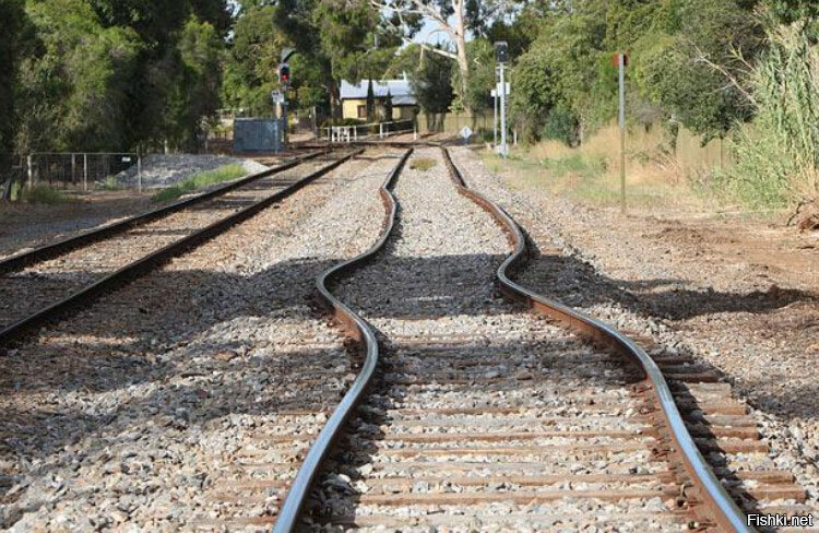 Иллюстрация из открытых источников.