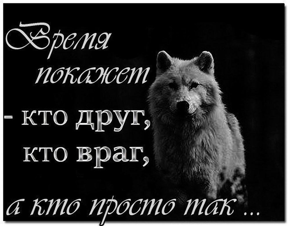 Кто друг кто враг кто просто так. Кто друг а кто враг картинки. Время покажет кто друг кто враг а кто просто так. И не друг и не враг а так.