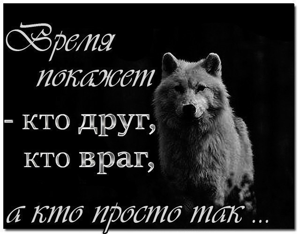 Враг станет врагом. Кто друг кто враг кто просто так. Кто друг а кто враг картинки. Время покажет кто друг кто враг а кто просто так. И не друг и не враг а так.