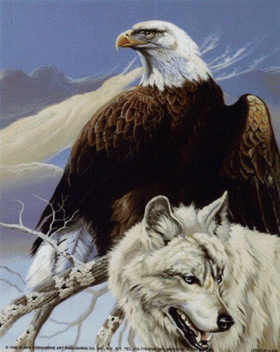 Волк Орел горы