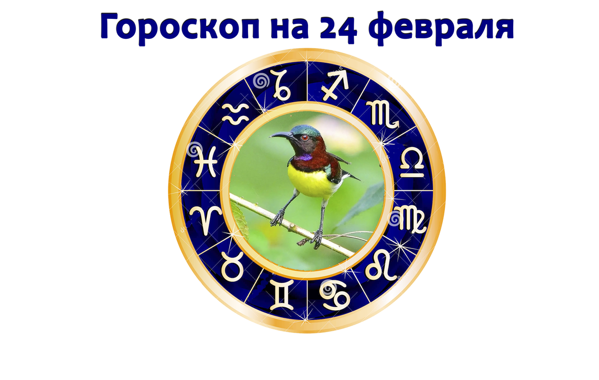 Гороскоп на 15 февраля 2024 года водолей. 15 Февраля гороскоп. 15 Февраля гороскоп кто. Гороскоп 15.11.2012.