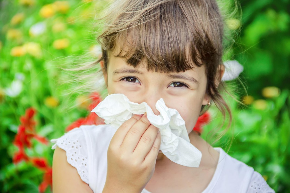 Чихание и сопли у ребенка. Аллергик заболевание у детей. Аллергия среди дошкольников.