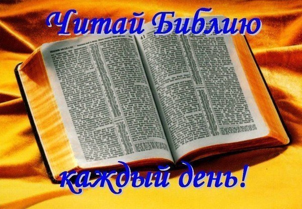 Читать библию на русском каждый день. Чтение Священного Писания. Читаем Библию. Библейские чтения. Читай Библию.