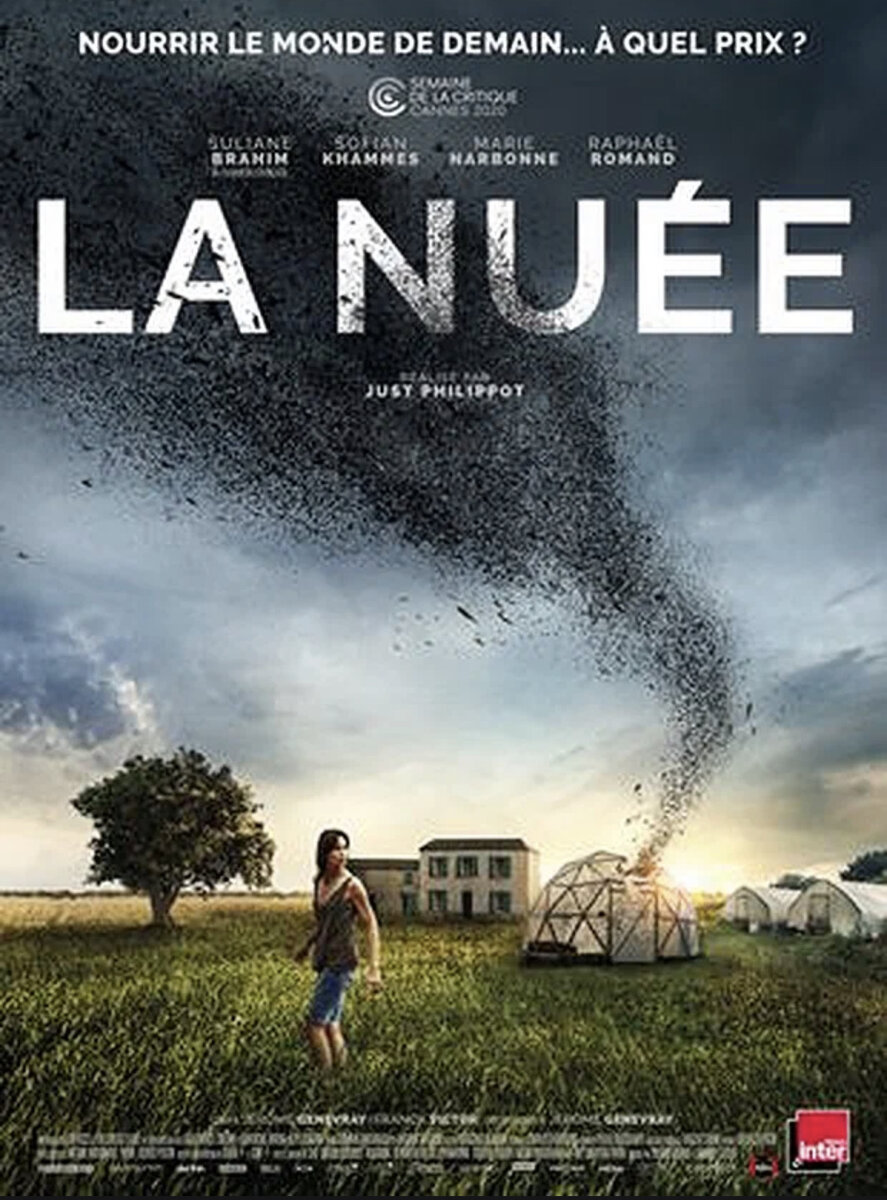 Оставшись после смерти мужа с двумя детьми, Вирджини изо всех сил пытается свести концы с концами и вместо коз начинает разводить саранчу и производить из неё муку.