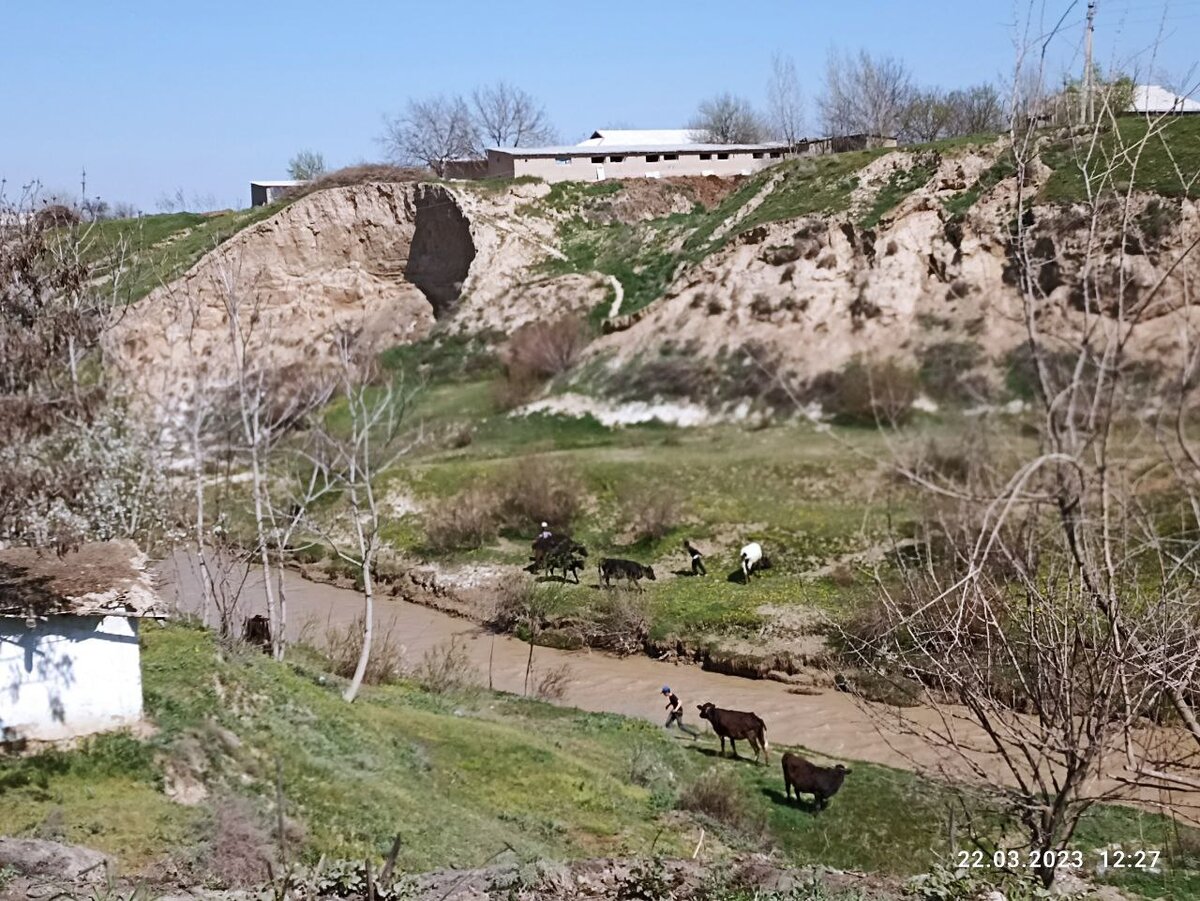 Узбекистан в марте