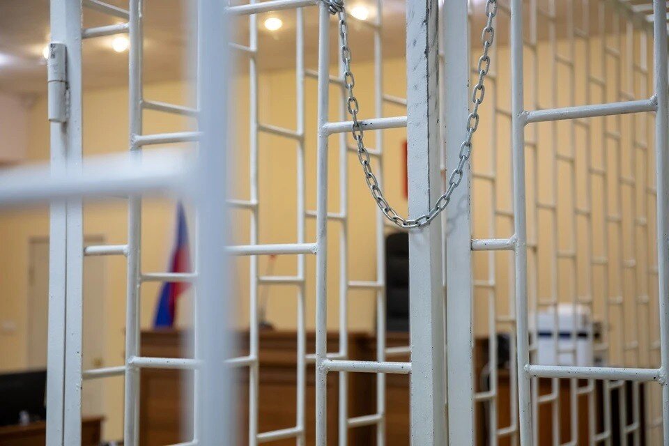     Подсудимый признал свою вину лишь частично Мария ЛЕНЦ