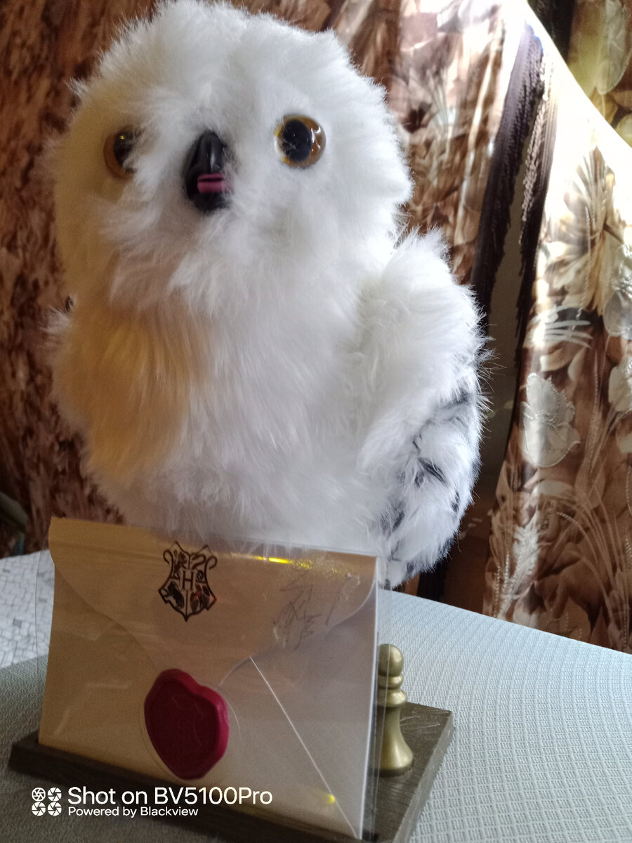 Письмо пришло