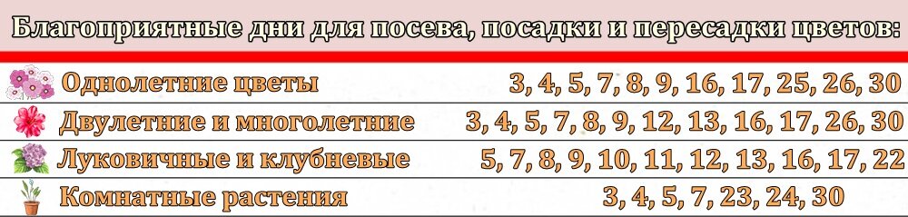 Посадка малины по лунному календарю