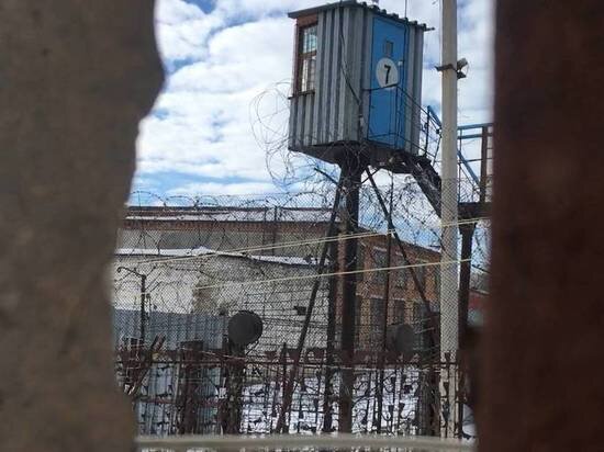     Колония. Фото: saratov.mk.ru "МК в Саратове"