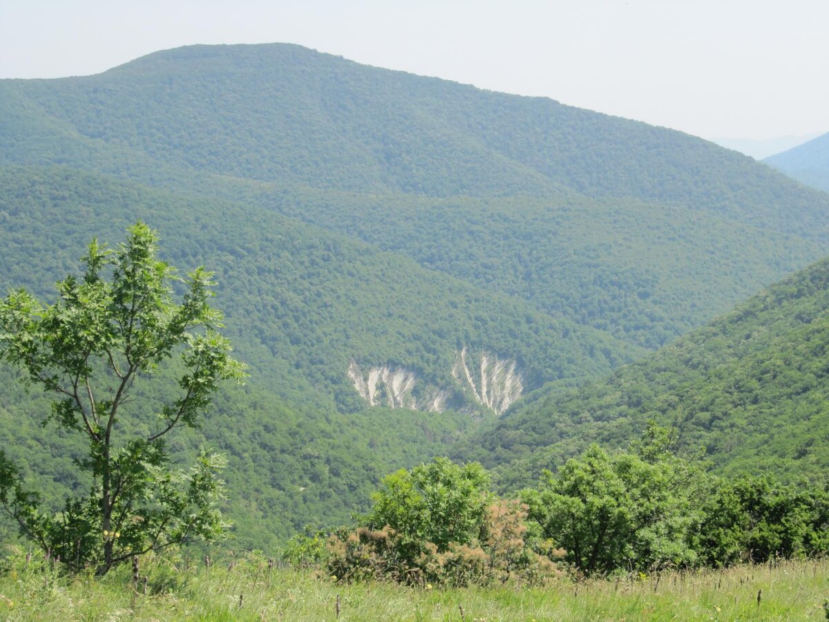 Крылья бабочки. Ущелье в Геленджике. Фотография Натальи Пузановой.