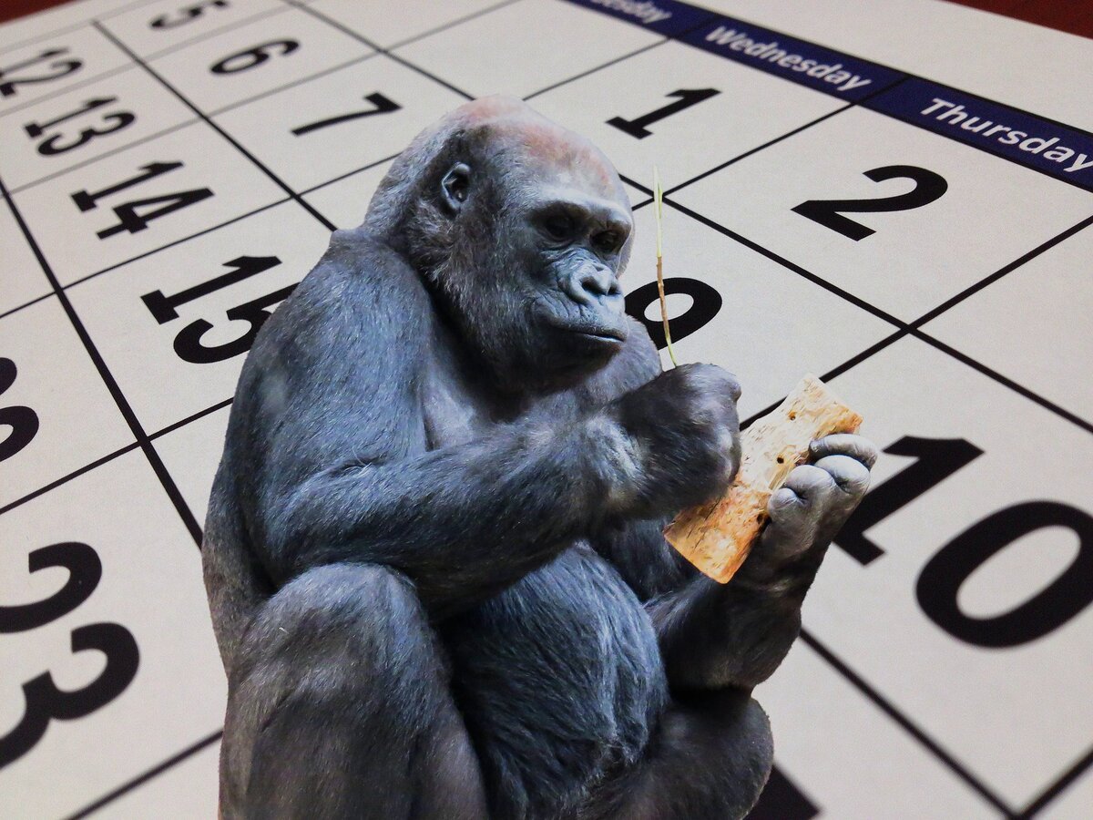 Расширение пчелиных семей