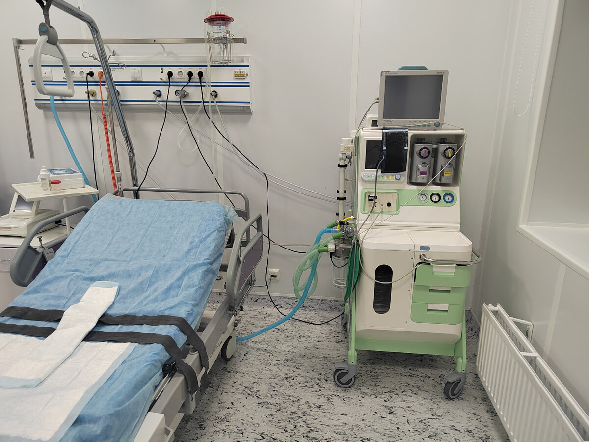 Моя родовая палата