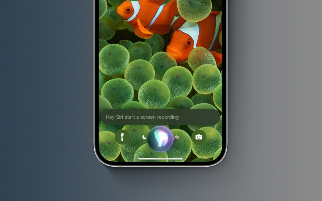    iOS 16.5