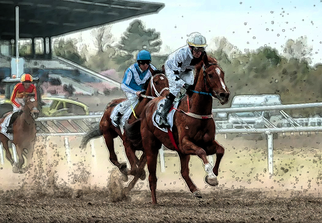 Ипподром в Краснодаре. Приезжайте на скачки.