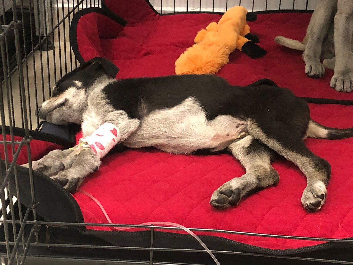 Веня. Москва. 1-й день в клинике 