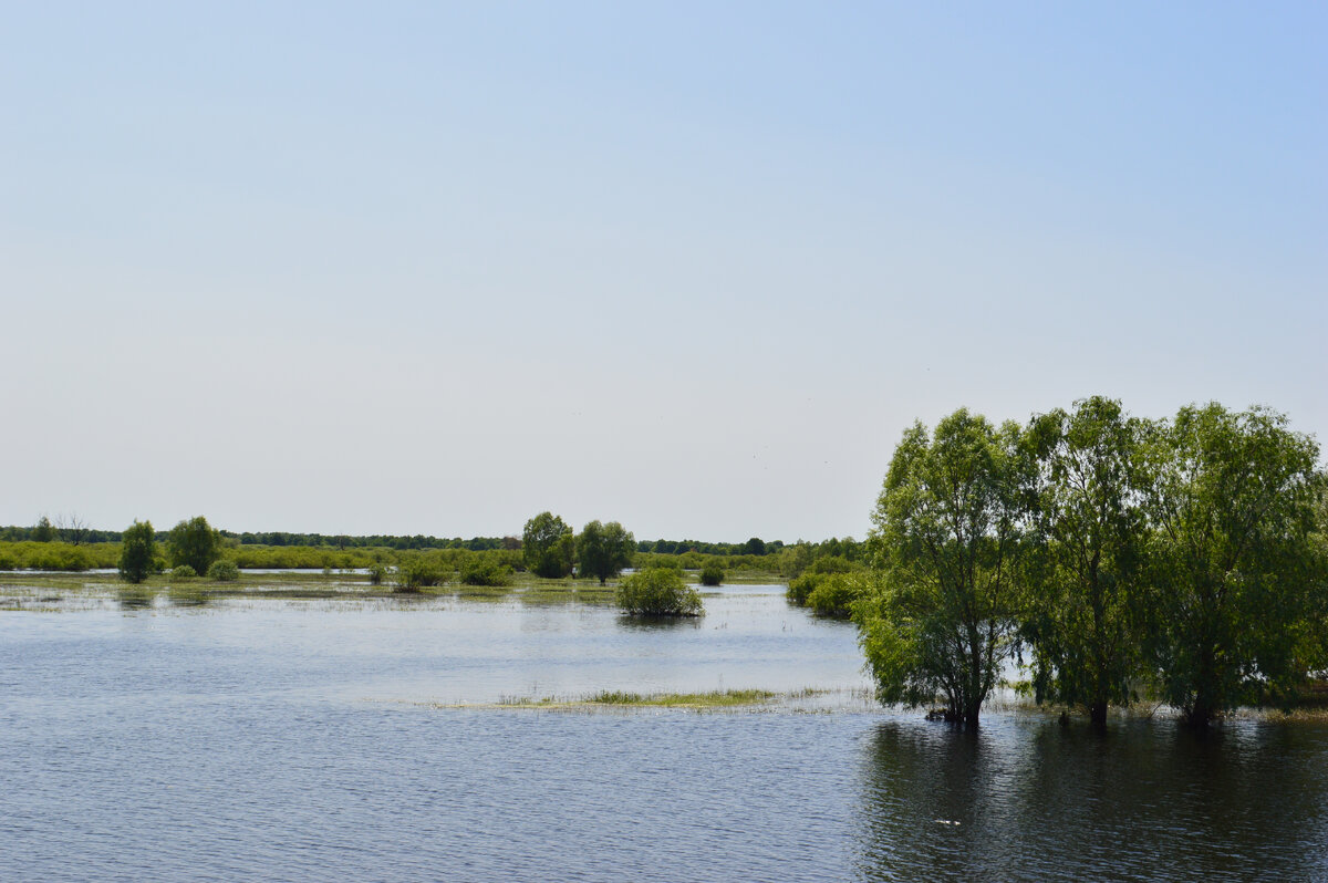 фото автора канала