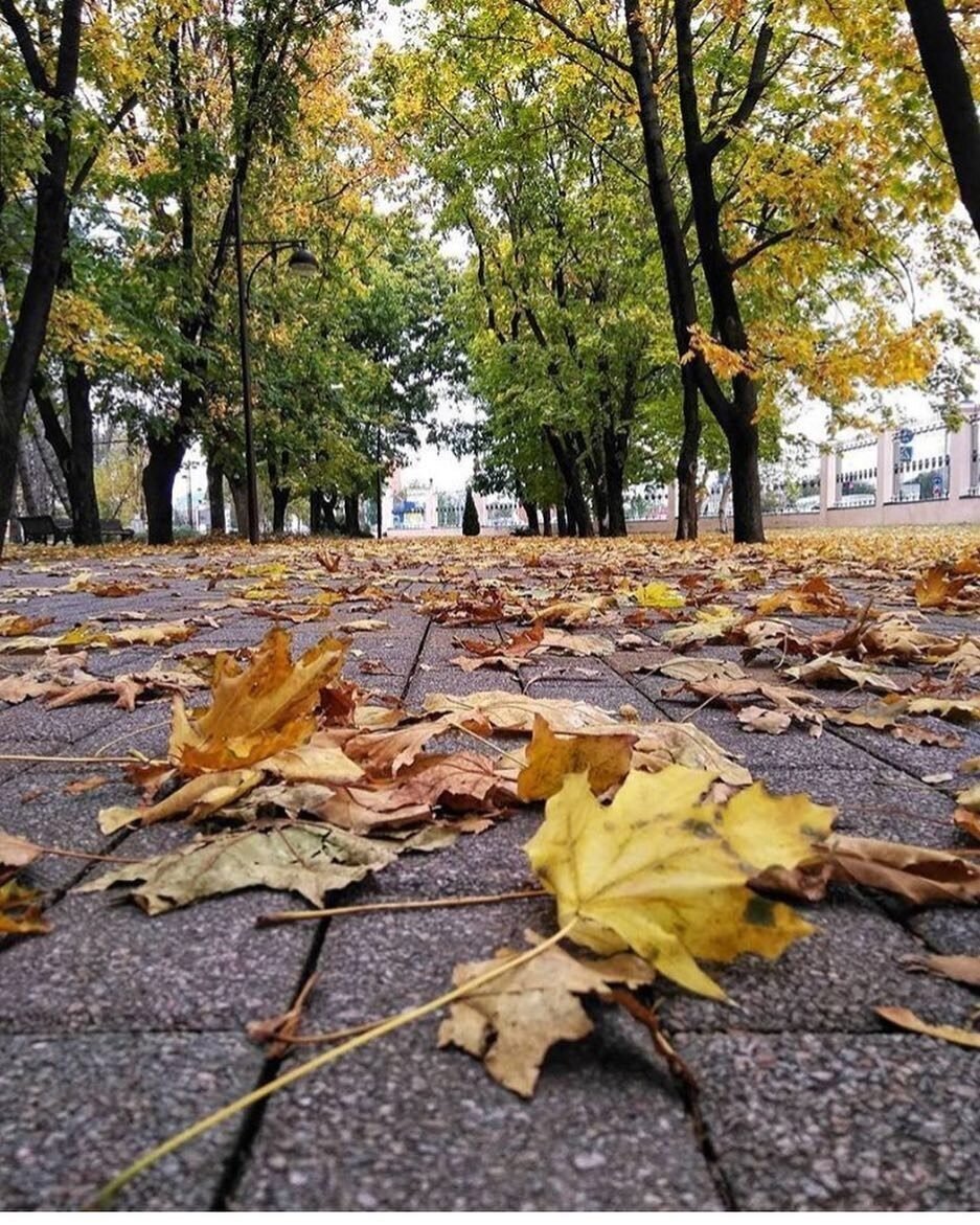 Фото из открытого источника