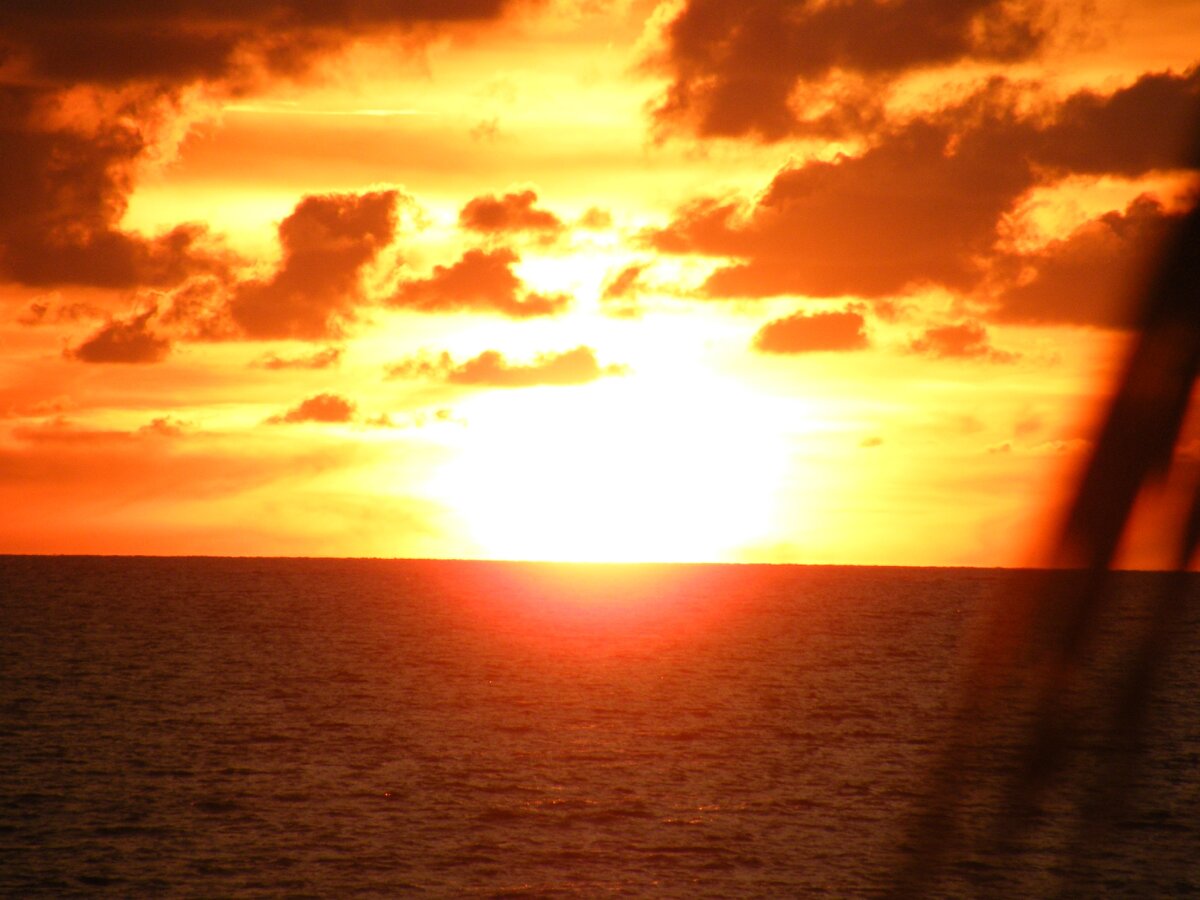 Из личного фотоальбома