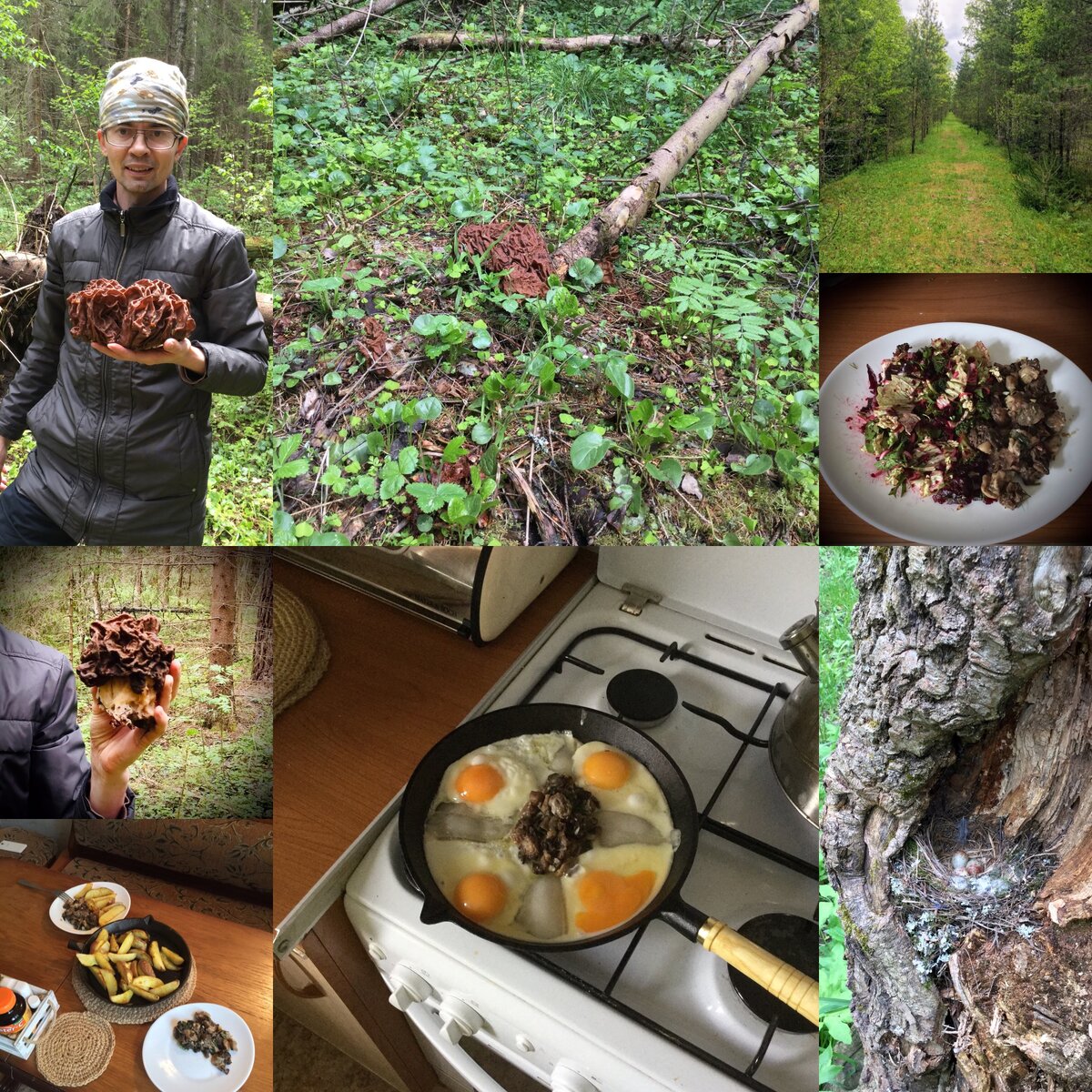 Начало летнего сезона. Пролетело три месяца.