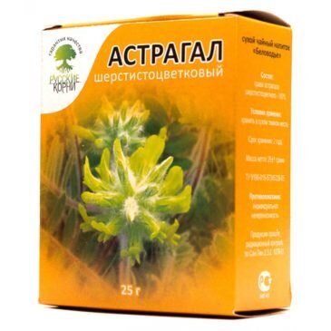 Астрагал шерстистоцветковый можно купить в аптеке.